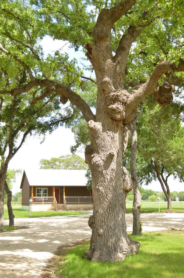 Vineyard Trail Cottages- Adults Only Φρέντερικσμπεργκ Δωμάτιο φωτογραφία